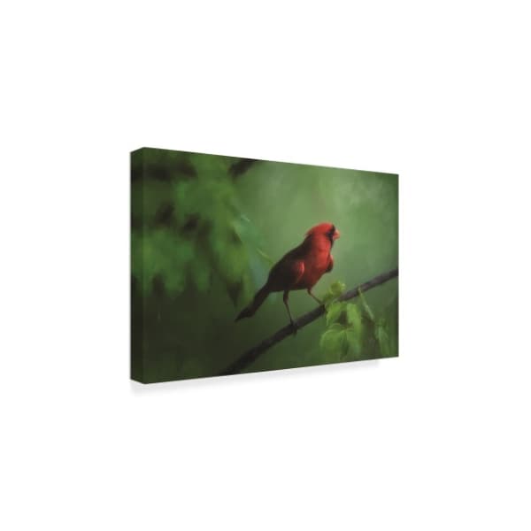 Lois Bryan 'Red Bird On A Hot Day ' Canvas Art,16x24